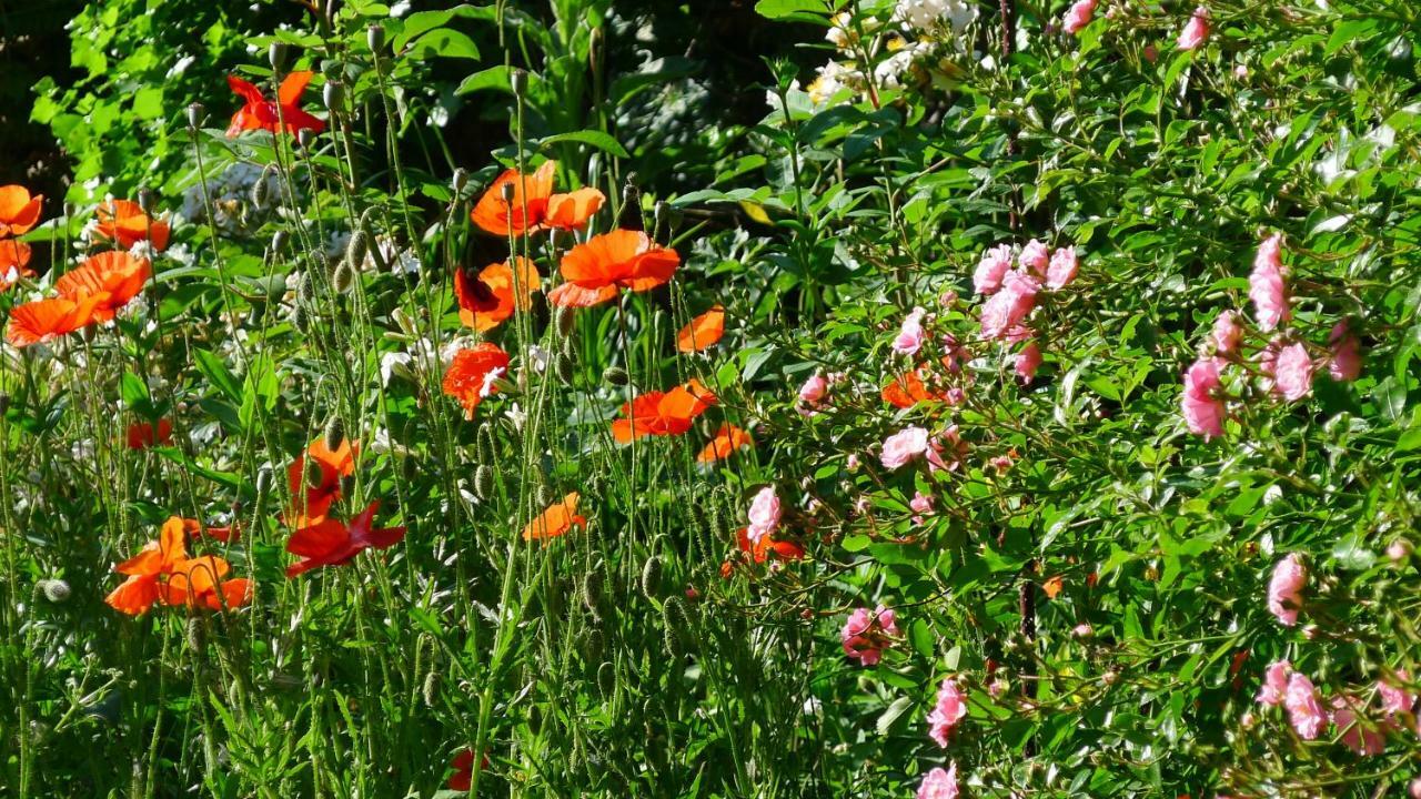 Le Petit Potager Bed & Breakfast Montbel  Luaran gambar